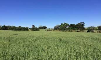 Imagem 2: ITAPETININGA - RURAL - ÁREA RURAL DE ITAPETININGA