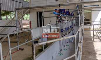 Imagem: Chácara 10 alqueires ( 48.4 hectares )