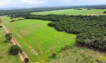Imagem: Fazenda de Soja à venda em Gurupi - TO