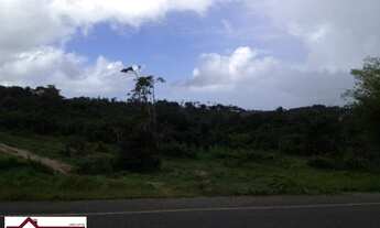 Imagem 4: JANDAIRA - RURAL - CENTRO