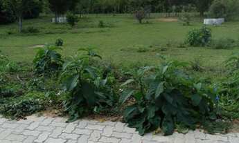 Imagem 5: Terrenos de 653m² á 1800m²- Guararema de R$ 281 mil á 836 mil- Cond. Fundo para Rio Paraib