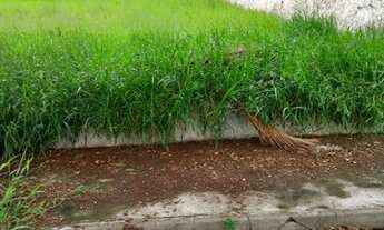 Imagem: SOROCABA - Terreno Padrão - PARQUE CAMPOLIM