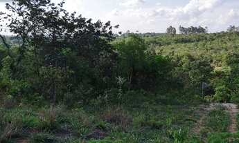 Imagem 4: Chácara 1000m², Energia, Água Encanada, Apenas 6km Centro de Aragoiânia