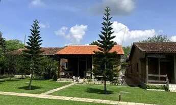 Imagem: Alugo Casa Gravata