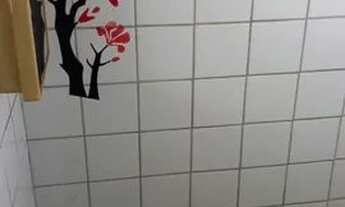 Imagem 5: Casa Casa com 1 dormitório