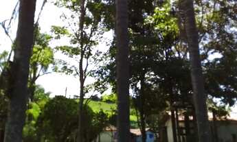 Imagem 7: Chácara nas montanhas de Cunha