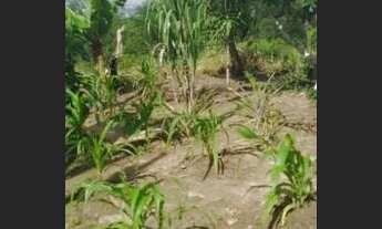 Imagem 4: Vendes casa em irara