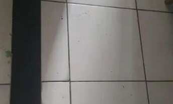 Imagem 6: Vendise casa Casa com 2 dormitórios