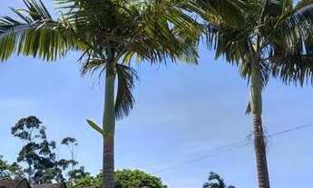 Imagem: Casa Em Matinhos R$ 295,000