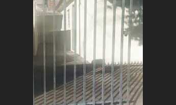 Imagem 6: Casa para alugar Marialva Rua Venezuela com Brasil Entrada de Marialva