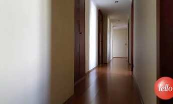 Imagem 4: São Paulo - Apartamento Padrão - Moema