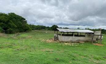 Imagem 3: Fazenda/Sítio/Chácara para venda com 6098 metros quadrados com 5 quartos em Centro - Poran