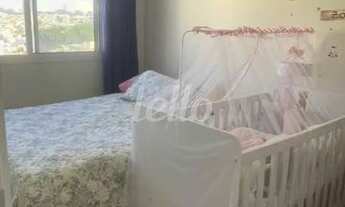 Imagem 5: São Paulo - Apartamento Padrão - São Lucas