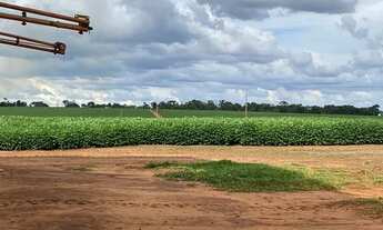 Imagem 5: Fazenda 180ha entre Amambai e Coronel Sapucaia-MS