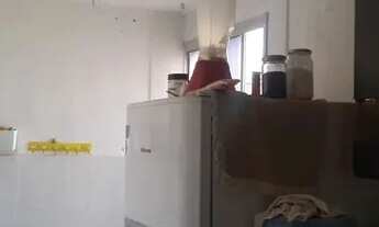 Imagem 2: Saia do aluguel hoje mesmo. Vendo apartamento no residencial Alameda das Palmeiras