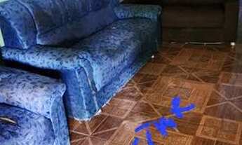 Imagem 5: Vendo casa mosqueiro chapéu virado