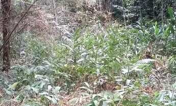 Imagem 2: Sitio de 5 Alq, Doc OK!! a 3Km do Centro de Morretes!!!