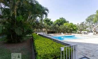 Imagem 3: Apartamento para Aluguel - Veleiros, 2 Quartos, 51 m2