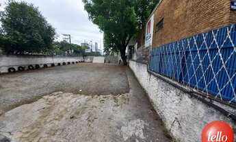 Imagem 3: São Paulo - Terreno Padrão - Pinheiros