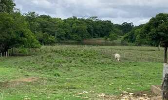 Imagem 4: Fazenda/Sítio/Chácara para venda com 6098 metros quadrados com 5 quartos em Centro - Poran