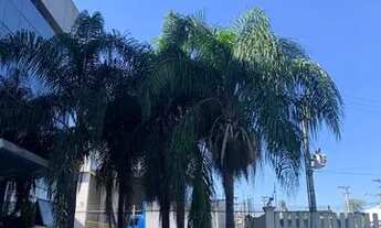 Imagem 4: Pavilhão Distrito Industrial Cachoeirinha