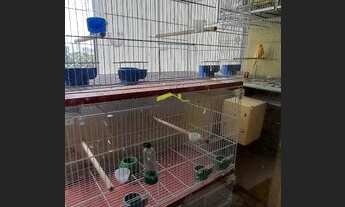 Imagem 4: Apartamento à venda, 3 quartos, 1 suíte, 1 vaga, Havaí - Belo Horizonte/MG