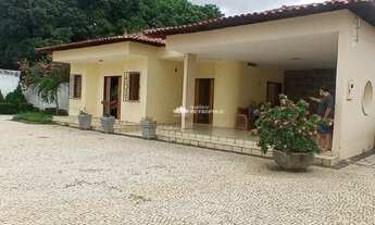 Imagem 2: AV. RIO POTI - BAIRRO: HORTO FLORESTAL