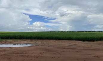 Imagem 3: Fazenda 180ha entre Amambai e Coronel Sapucaia-MS
