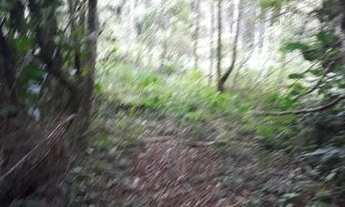 Imagem 2: Vendo ou troco terreno em Juquitiba