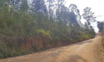 Imagem 2: Área rural em jarinu