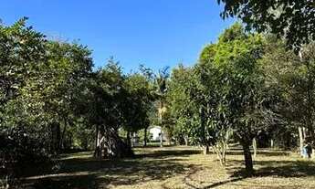 Imagem 13: Chácara 5000M² no Município de Cunha-Sp Oportunidade