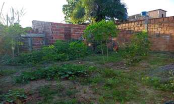 Imagem 2: Vendo terreno em vida Nova loteamento Picuaia