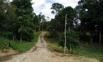 Imagem 3: Vendo chácara Chácara com venda por R$140.000