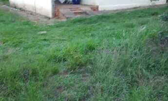 Imagem 4: Sitio de 2 alqueires com produção de frangos integrada - Duartina/SP