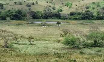 Imagem: Fazenda Em Umbauba