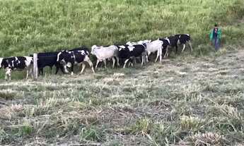 Imagem: Fazenda entre KM 50 e 60 da BR174. 10.360.000m2