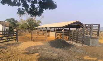 Imagem 2: FAZENDA PRA PECUÁRIA EM ROMARIA