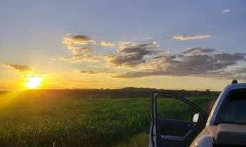 Imagem 3: 134 Alq. em Lavoura - Piracanjuba/GO