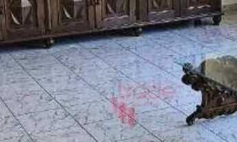 Imagem 3: Casa com 3 dormitórios, 261 m² - venda por R$ 760.000,00 ou aluguel por R$ 8.328,72/mês