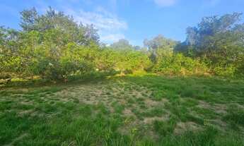 Imagem 2: Imóvel para venda possui 2000 metros quadrados em Água Branca (Bacaxá) - Saquarema - RJ