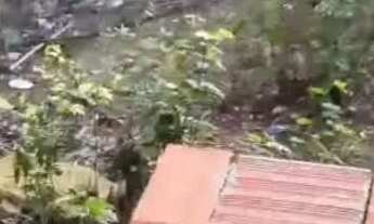 Imagem: Terreno 10 de frente por 22 de fundo!