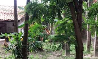 Imagem 2: Venha realizar seu sonho em ter um sítio bem localizado próximo á praias