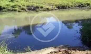 Imagem 3: Fazenda localizada no municipio de caldas novas, com 23,5 alqueires, propriedade toda escr