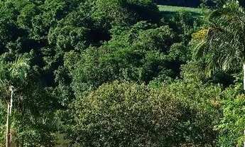 Imagem 6: Lote alagado salto caxias