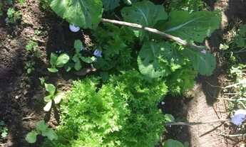 Imagem 5: Chácara Para Vender com 03 quartos no bairro Zona Rural em Esmeraldas