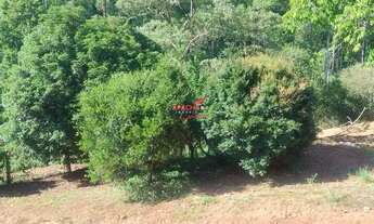 Imagem 3: Sítio à venda, Guaraciaba - Guaraciaba/MG