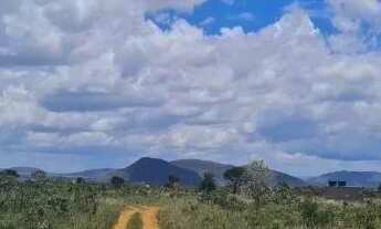 Imagem 7: LINDO TERRENO DE 4.000m² - PRÓXIMO AO CENTRO
