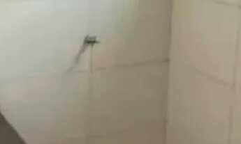 Imagem 6: Transferência, 3 qts, próx Santa Emília