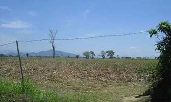 Imagem 5: ÁREA 31.000 M² ESTRADA DO CERAMISTA ARAÇÁ
