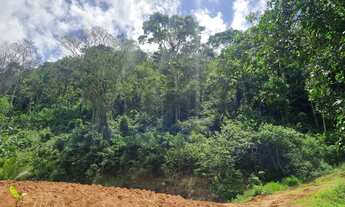 Imagem 2: Chacara 6.000 mt com rio